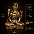 Shiva Idol