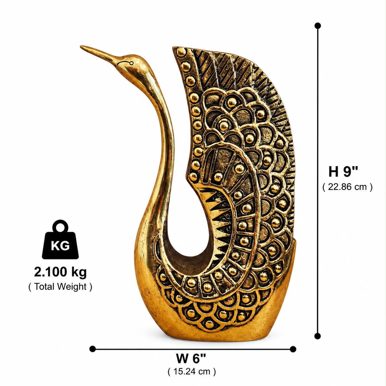 Swan