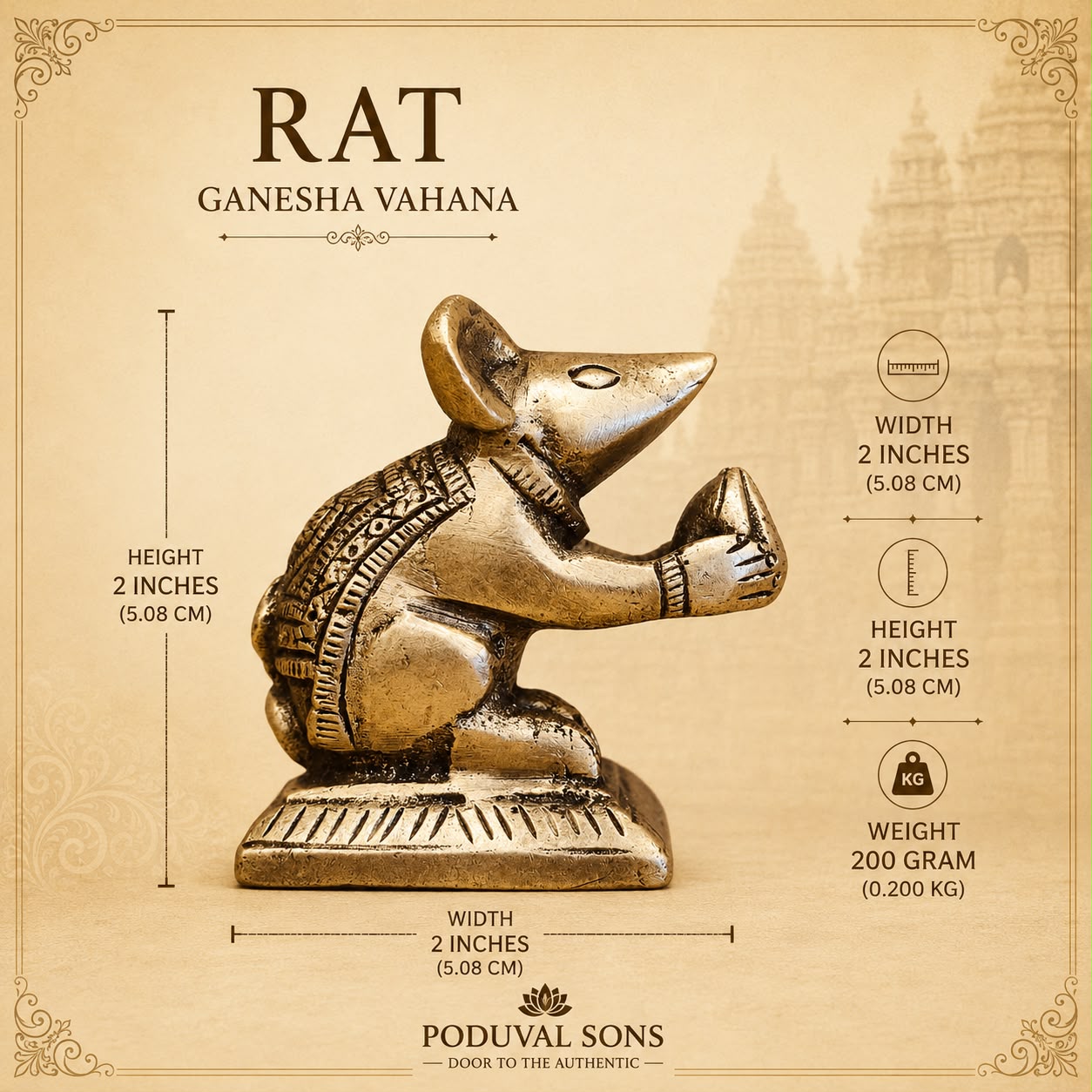 Rat
