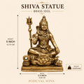 Shiva Idol