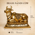 Nandi Cow