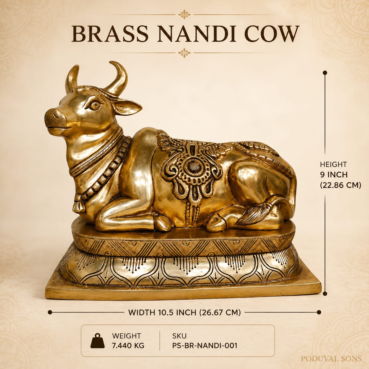 Nandi Cow