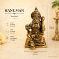 Hanuman Idol